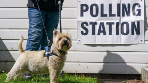 A person is standing behind a dog on a lead. The dog is small and is a beige and white colour, on a building behind it there is a large white sign that reads "polling station" in black letters.