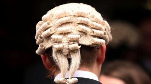 The back of the head of a judge, wearing a wig 