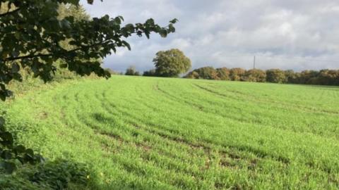 Land to the north of Harpenden