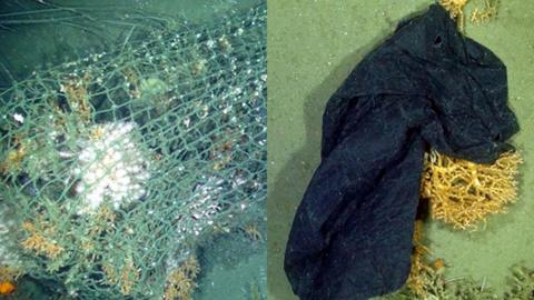 Lost fishing net and plastic bag snagged on coral