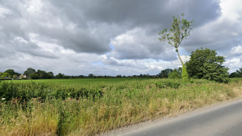 A field with long grass by the roadside with a prominent tree leaning on the right hand side.