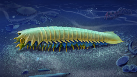An artist’s impression of Urokodia.