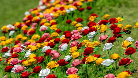 A sea of recycled roses, coloured red, yellow pink and white.