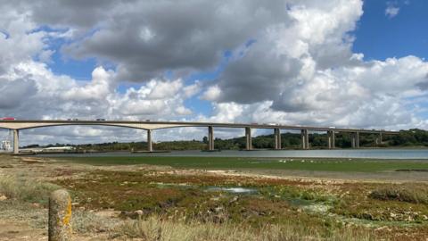 A long distance view of the south side of the A14 Orwell Bridge. The tops of the sides of lorries can be seen queuing on the eastbound carriageway. The tide is partly out on the Orwell Estuary, revealing mudflats covered in green flora, and the marshy bank. There are about half a dozen mute swans on the mud. The sky is blue but filled with large, fluffy white and grey clouds.
