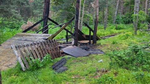 A ramp and trees after a fire