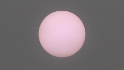 Pink Sun 