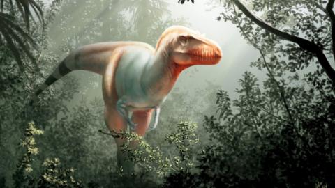 An artist's impression of Thanatotheristes degrootorum, a newly-discovered species of Tyrannosaurus rex