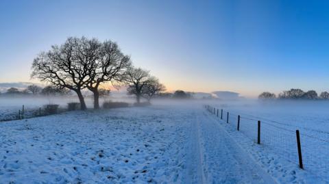 A snow covered field with trees in the background, a wired fence to the right and low lying mist in the distance under a blue sky with the orange light from the sun in the background.