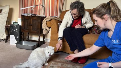 Two women leaning towards a white cat sat on the floor