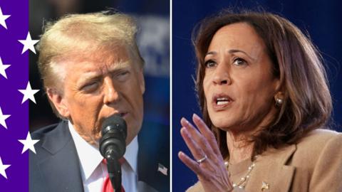 A split image of Donald Trump and Kamala Harris campaigning, with the BBC election branding of a purple line with white stars down the left-hand side