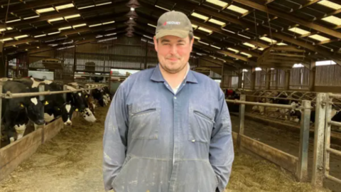 A man in blue overalls and a baseball cap stands in a cow shed with feedings animals behind him