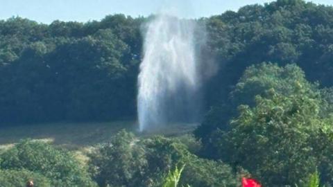 Water is shooting into the air from the ground. There is greenery around this. 
