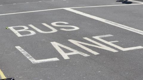 White painted capital letters on a road reading "BUS LANE".