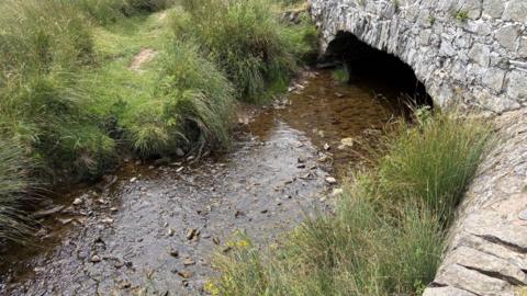A waterway under a bridge