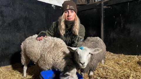 Rachel Hall, a blonde-haired woman in a woolly hat and green top, kneels between two sheep in a hay-lined area