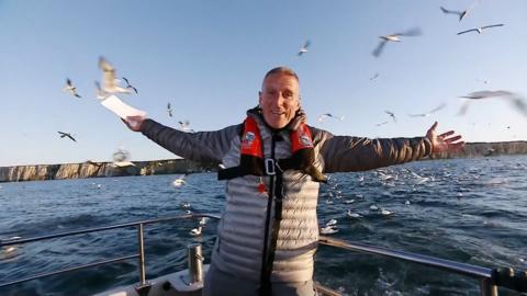 Iolo WIlliams standing among diving gannets