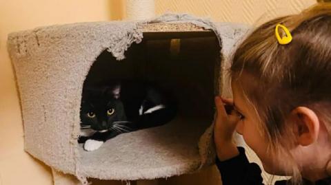 A girl looking at a black cat in a travel basket