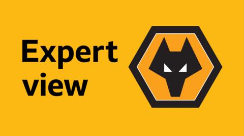 Wolverhampton Wanderers expert view graphic