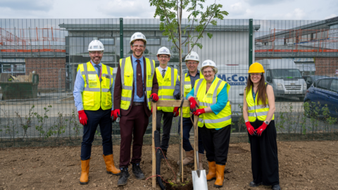 Tree planting