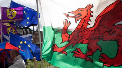 A set of flags next to each other. A large Welsh dragon features next to some European Union and UK Independence Party flags.