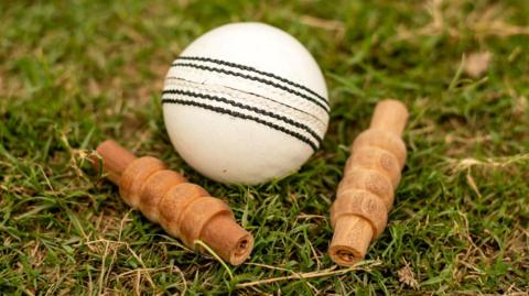 White cricket ball