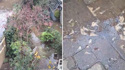 Two images of brown sewage water in people's gardens so you can barely see the stone floor below it