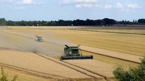 Combine harvester in a field