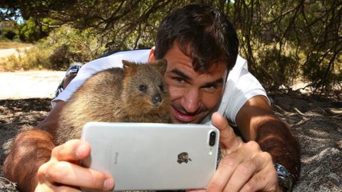 Tennis player Roger Federer takes a selfie with a quokka on Rottnest Island