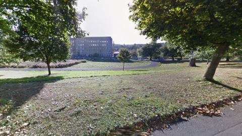 A green space with trees and fields