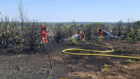 Three firefighters spraying water on a burnt heathland.