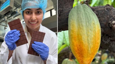 A woman holding two bars of chocolate while smiling into the camera. She is wearing a white gown with purple gloves and a blue hair net.