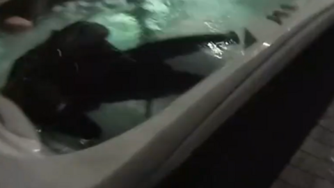 A black shape, including what look like legs, seemingly semi-submerged in a hot tub with a light on under the water