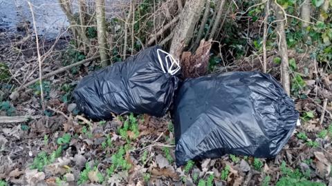 Bags of rubbish on grass and leaves by a river