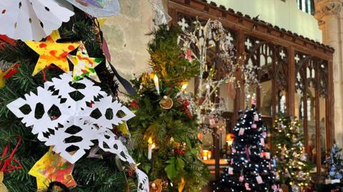 Decorated Christmas trees lined in a row in a church