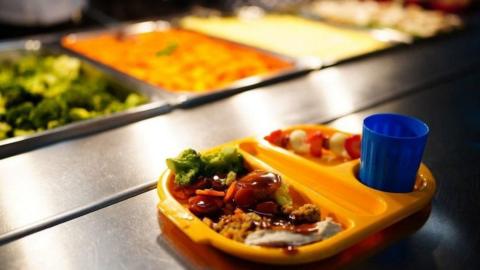 A metal steel counter with a compartmentalised orange plate containing a main meal, a side and a blue drink cup