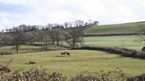 A scenic shot of the Duchy of Cornwall Bradninch estate, near Cullompton. There are a few horses in the distance and some trees and lots of green fields. 