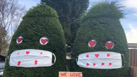 Bushes dressed up for St Valentine's Day