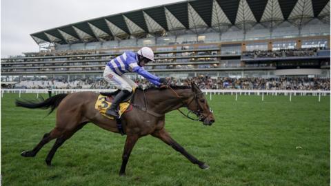 Harry Cobden riding Pic D'Orhy clear at the last to win the Ascot Chase