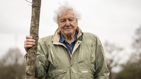 David Attenborough with hand resting on a tree.