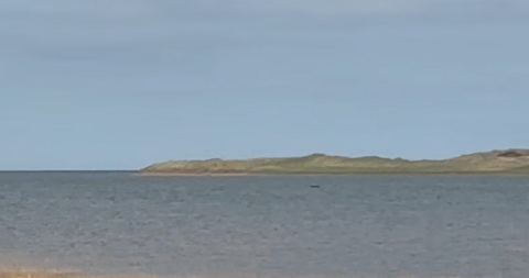 The car submerged in the water. The top of it can just be seen in the distance. Sand dunes can be seen in the distance.