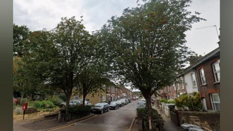 Edward Street seen from one end with the rowan trees in leaf, with red berries. It is a terraced street with tiny front gardens and cars parked along both sides.