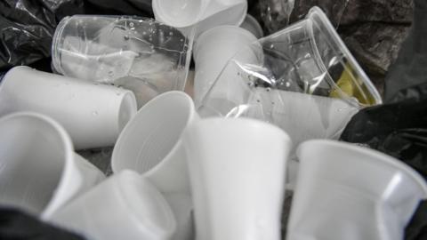 Several white and clear single use plastic cups are discarded in a black bin liner.