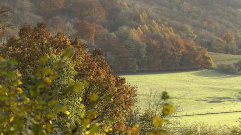 Ashridge Estate