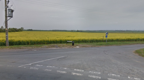 Google Maps image taken at the junction with Newland Lane looking across a field of oilseed rape