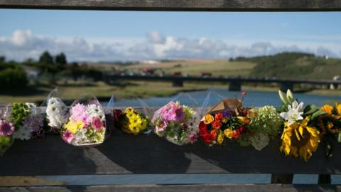 A row of flowers overlooking a road bridge above a body of water. The flowers are multicoloured. The sky behind is blue and cloudy.