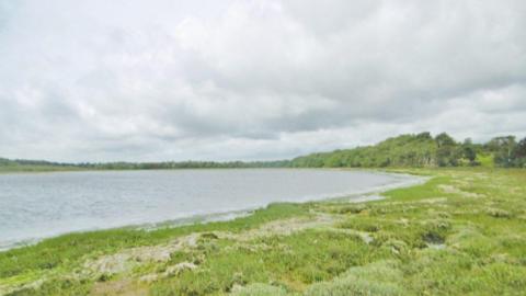 View across Arne Bay - a deserted sweeping cove surrounded by green salt marsh and trees