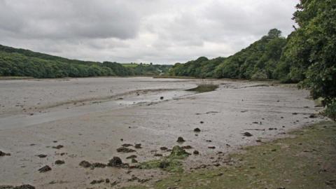 Calenick Creek near Truro at low tide. It shows greenery and mud.