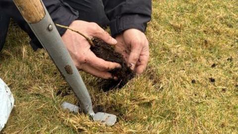 A picture of someone planting seeds into the grass. There is a large silver spade in the ground.