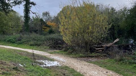 The 'learn to ride' bike trails at Newbold Comyn