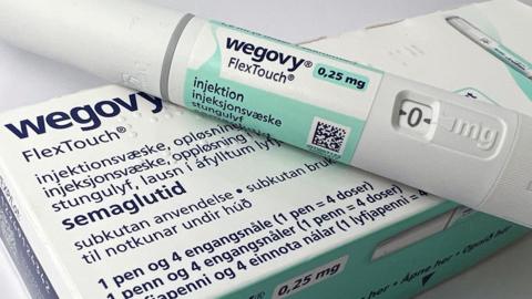 A 0.25 mg injection pen of Novo Nordisk's weight-loss drug Wegovy.